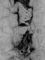 /album/bw-abstrakty/memento-mori-jpg/